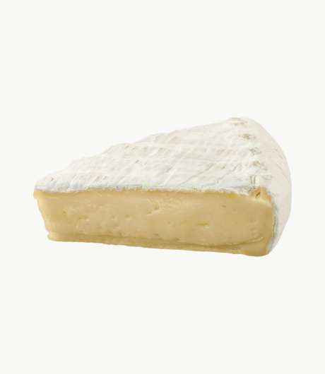 formatge brie